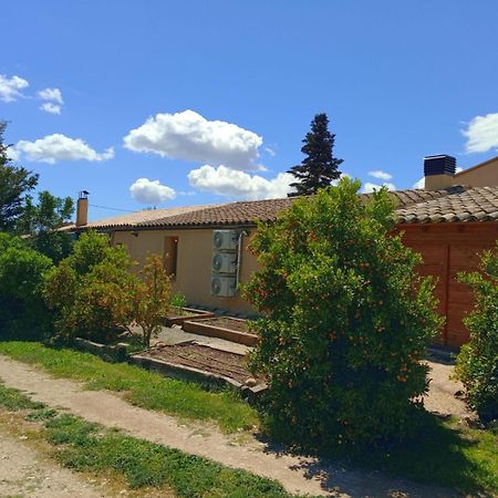 Apartment With Private Pool And Garden San Martin Sarroca Экстерьер фото