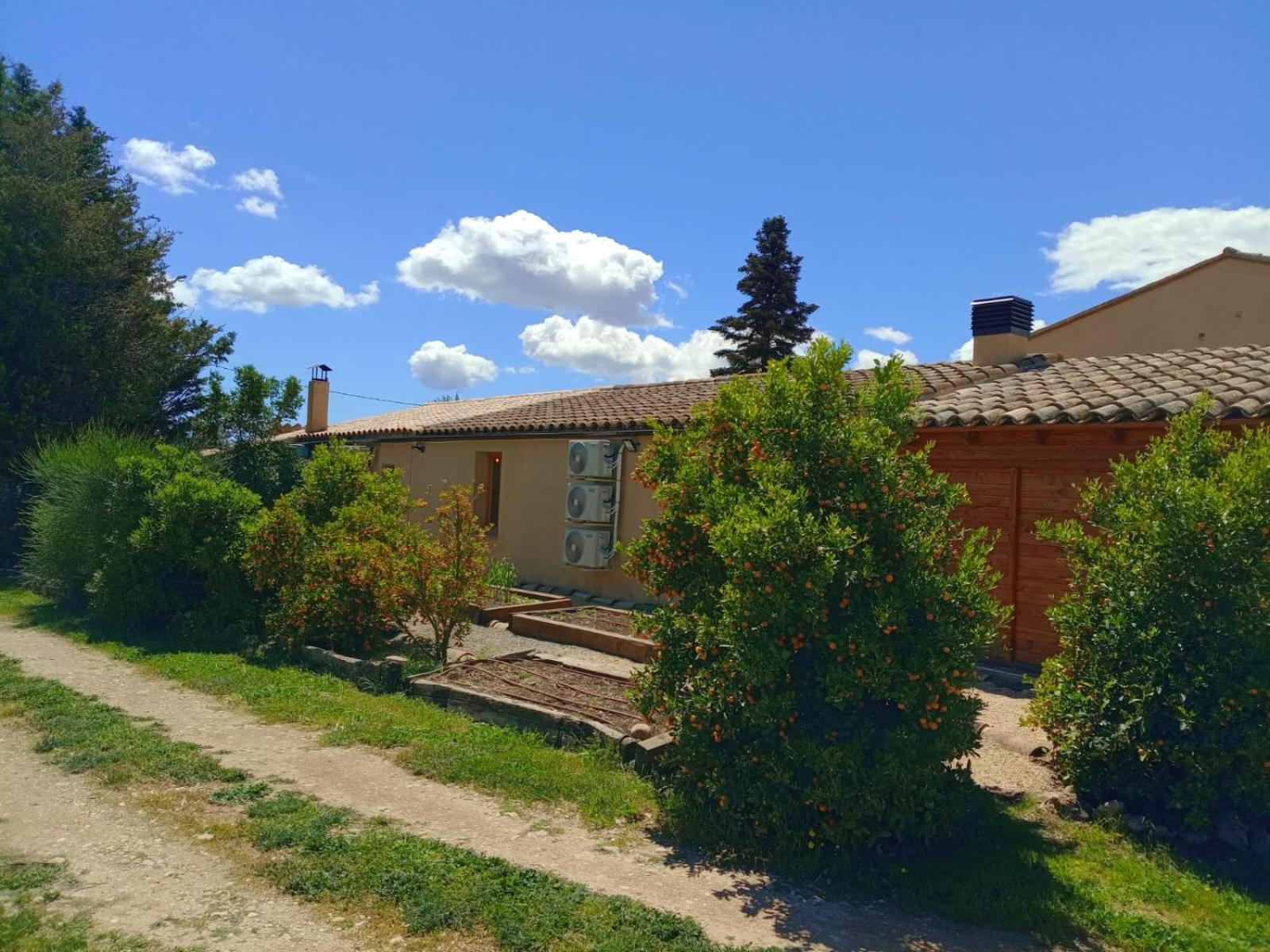 Apartment With Private Pool And Garden San Martin Sarroca Экстерьер фото
